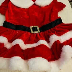 Dog Santa attire